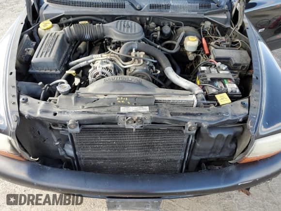 ✅ 1999 Dodge Durango • VIN: 1B4HS28Z9XF503929 • Lot: 90228975. Wystawiony na Copart z przebiegiem 139 673 mil. Bezpłatny archiwum sprzedaży aukcyjnych z USA i szczegółowy raport historii pojazdu na DreamBid. Zdjęcie 12.