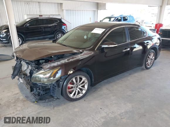 ✅ 2010 Nissan Maxima SV • VIN: 1N4AA5AP3AC862239 • Lot: 43575155. Listed on IAAI with 87,015 mi. Free auction sales archive from the USA and detailed vehicle history report at DreamBid. Image 2.