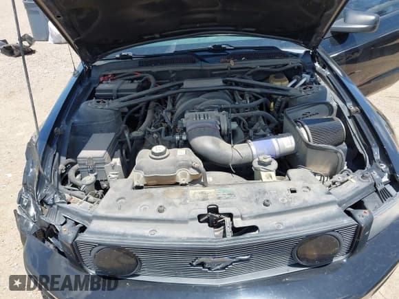 ✅ 2007 Ford Mustang GT Deluxe • VIN: 1ZVFT85H875254094 • Lot: 42593468. Wystawiony na IAAI z przebiegiem 126 596 mil. Bezpłatny archiwum sprzedaży aukcyjnych z USA i szczegółowy raport historii pojazdu na DreamBid. Zdjęcie 10.