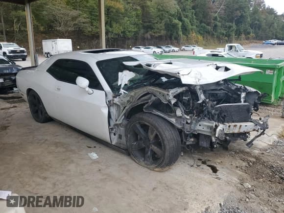 ✅ 2010 Dodge Challenger R/T • VIN: 2B3CJ5DTXAH314460 • Lot: 81841285. Listed on Copart with 158,856 mi. Free auction sales archive from the USA and detailed vehicle history report at DreamBid. Image 4.