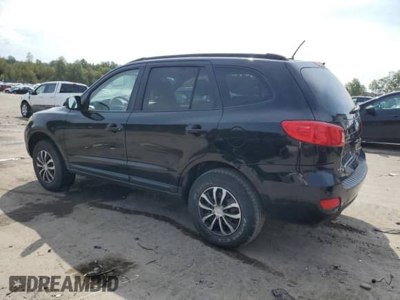 2009 Hyundai Santa Fe GLS с VIN 5NMSG13D09H238999, выставлен на аукционе Copart как лот 72043014 с пробегом 143 208 миль миль и Списание • Salvage title. История ставок и продаж доступна на DreamBid. Изображение 2.