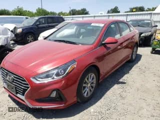 ✅ 2019 Hyundai Sonata SE • VIN: 5NPE24AF8KH799333 • Лот: 54021023. Опубликован ранее на Copart с пробегом 61 737 миль. Бесплатный доступ к архиву аукционных продаж из США и подробный отчёт об истории автомобиля на DreamBid. Изображение 1.