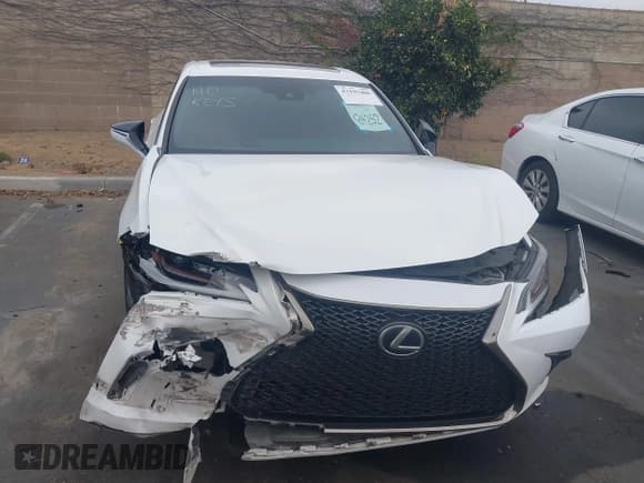 ✅ 2019 Lexus ES 350 Luxury • VIN: 58ABZ1B11KU044017 • Lot: 43193406. Listed on IAAI with 100,539 mi. Free auction sales archive from the USA and detailed vehicle history report at DreamBid. Image 13.