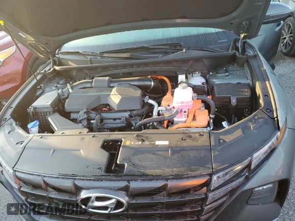 ✅ 2024 Hyundai Tucson SEL Convenience • VIN: KM8JCCD18RU212551 • Lot: 75084054. Wystawiony na Copart z przebiegiem Nie podano. Bezpłatny archiwum sprzedaży aukcyjnych z USA i szczegółowy raport historii pojazdu na DreamBid. Zdjęcie 12.