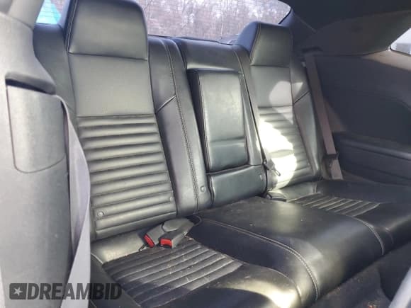 ✅ 2009 Dodge Challenger R/T • VIN: 2B3LJ54TX9H520339 • Lot: 88663405. Wystawiony na Copart z przebiegiem 166 235 mil. Bezpłatny archiwum sprzedaży aukcyjnych z USA i szczegółowy raport historii pojazdu na DreamBid. Zdjęcie 10.