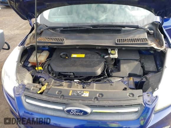 ✅ 2016 Ford Escape SE • VIN: 1FMCU9GX1GUC90210 • Лот: 43901491. Опубликован ранее на IAAI с пробегом 64 079 миль. Бесплатный доступ к архиву аукционных продаж из США и подробный отчёт об истории автомобиля на DreamBid. Изображение 10.