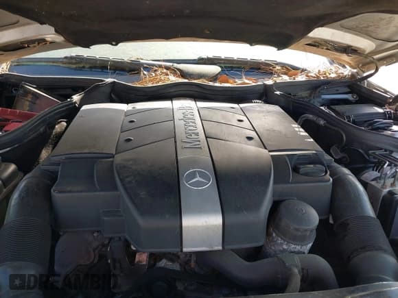 ✅ 2004 Mercedes-Benz C 320 • VIN: WDBRF64J04F551588 • Lot: 41971774. Wystawiony na IAAI z przebiegiem 184 594 mil. Bezpłatny archiwum sprzedaży aukcyjnych z USA i szczegółowy raport historii pojazdu na DreamBid. Zdjęcie 10.