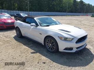 ✅ 2017 Ford Mustang GT Premium • VIN: 1FATP8FF2H5295125 • Lot: 42656996. Wystawiony na IAAI z przebiegiem 130 568 mil. Bezpłatny archiwum sprzedaży aukcyjnych z USA i szczegółowy raport historii pojazdu na DreamBid. Zdjęcie 1.