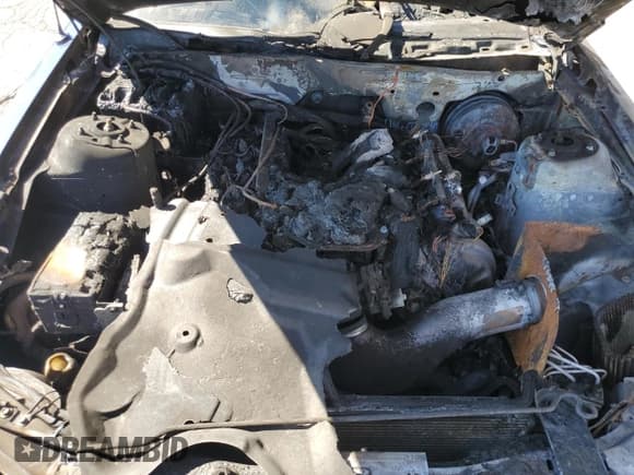 ✅ 2007 Ford Mustang GT Deluxe • VIN: 1ZVFT82H375225090 • Lot: 81851045. Listed on Copart with Not provided. Free auction sales archive from the USA and detailed vehicle history report at DreamBid. Image 11.