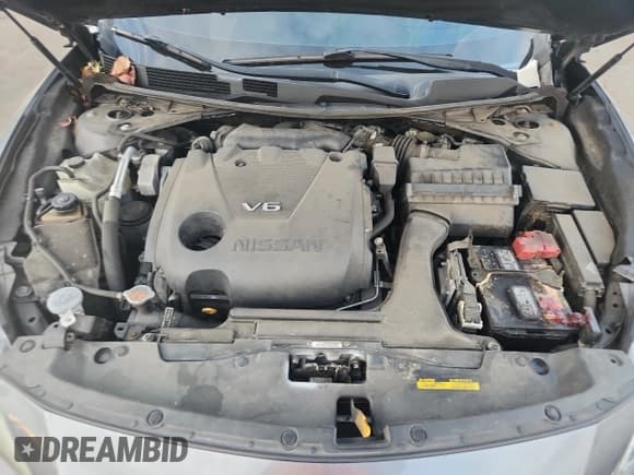 ✅ 2016 Nissan Maxima Platinum • VIN: 1N4AA6AP3GC443483 • Lot: 91193735. Listed on Copart with 177,282 mi. Free auction sales archive from the USA and detailed vehicle history report at DreamBid. Image 11.