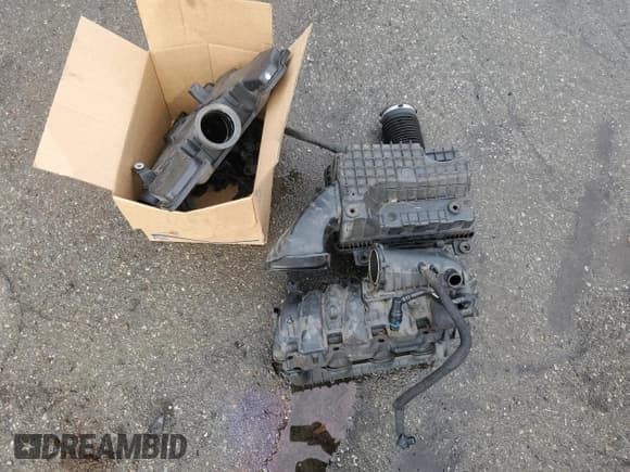 ✅ 2010 Dodge 1500 SLT • VIN: 1D7RV1GP2AS159597 • Lot: 51313675. Wystawiony na Copart z przebiegiem 148 722 mil. Bezpłatny archiwum sprzedaży aukcyjnych z USA i szczegółowy raport historii pojazdu na DreamBid. Zdjęcie 12.