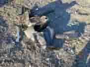 ✅ 2026 Chevrolet Equinox AWD LT • VIN: 3GNAXPEGXTL250522 • Lot: 90677165. Listed on Copart with 1,548 mi. Free auction sales archive from the USA and detailed vehicle history report at DreamBid. Image 12.