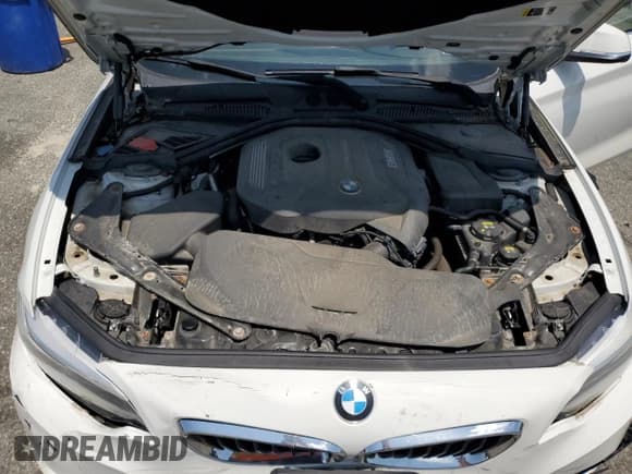 ✅ 2017 BMW 2 Series 230i xDrive • VIN: WBA2M9C34HV985714 • Lot: 61230025. Listed on Copart with 39,651 mi. Free auction sales archive from the USA and detailed vehicle history report at DreamBid. Image 11.