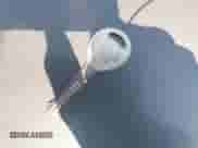 2003 Dodge 1500 ST z VIN 1D7HA18N63S303062, wystawiony jako IAAI lot #42756553 z przebiegiem 167 746 mil mil oraz . Historia ofert i sprzedaży dostępna na DreamBid. Obrazek 11.