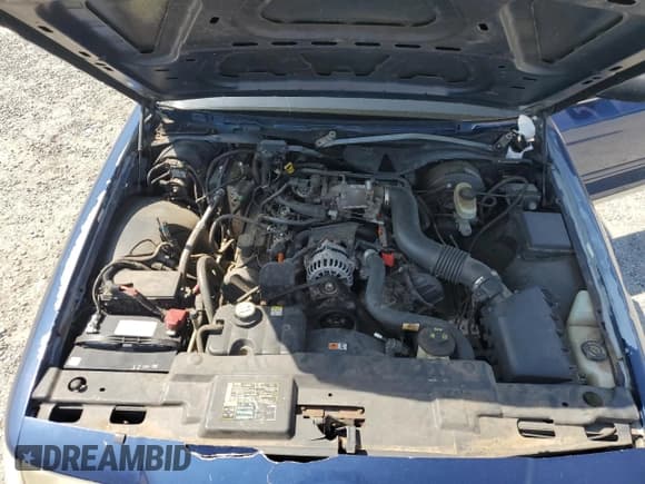 ✅ 2003 Ford Police Interceptor Street Appear • VIN: 2FAHP71W13X198805 • Лот: 55603285. Опубликован ранее на Copart с пробегом 202 794 миль. Бесплатный доступ к архиву аукционных продаж из США и подробный отчёт об истории автомобиля на DreamBid. Изображение 11.