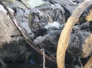 ✅ 2024 Nissan Altima SR • VIN: 1N4BL4CV0RN374273 • Lot: 92250565. Listed on Copart with Not provided. Free auction sales archive from the USA and detailed vehicle history report at DreamBid. Image 9.