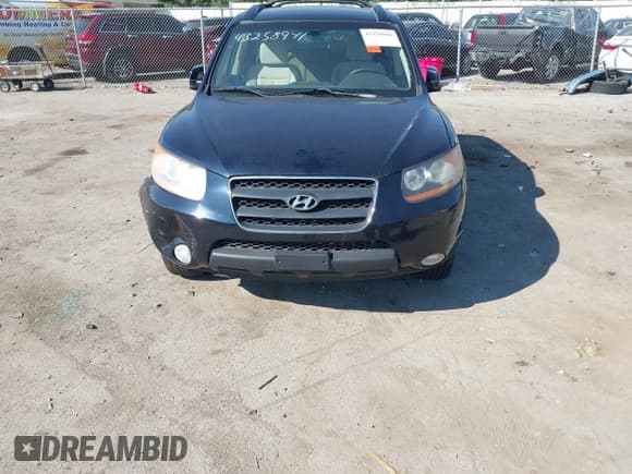 ✅ 2008 Hyundai Santa Fe SE • VIN: 5NMSH13E88H181116 • Lot: 43258941. Listed on IAAI with 254,034 mi. Free auction sales archive from the USA and detailed vehicle history report at DreamBid. Image 6.