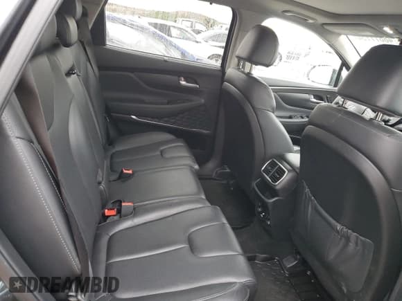 ✅ 2020 Hyundai Santa Fe Limited • VIN: 5NMS5CAA5LH219043 • Lot: 48877734. Wystawiony na Copart z przebiegiem 43 000 mil. Bezpłatny archiwum sprzedaży aukcyjnych z USA i szczegółowy raport historii pojazdu na DreamBid. Zdjęcie 10.