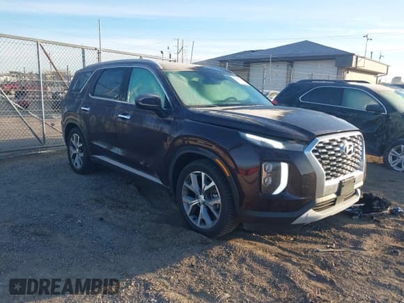 ✅ 2020 Hyundai Palisade SEL • VIN: KM8R4DHE6LU086751 • Lot: 43625342. Listed on IAAI with 48,329 mi. Free auction sales archive from the USA and detailed vehicle history report at DreamBid. Image 1.