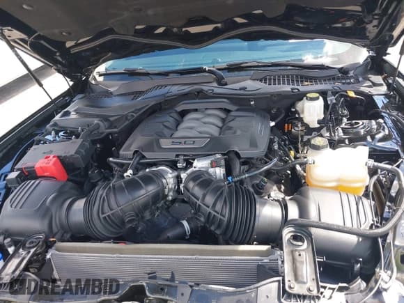 ✅ 2025 Ford Mustang GT • VIN: 1FA6P8CF2S5408158 • Лот: 43522049. Опубликован ранее на IAAI с пробегом 6 292 миль. Бесплатный доступ к архиву аукционных продаж из США и подробный отчёт об истории автомобиля на DreamBid. Изображение 10.