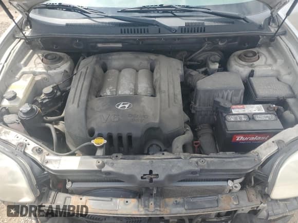 ✅ 2004 Hyundai Santa Fe GLS • VIN: KM8SC13D74U659059 • Lot: 57156945. Listed on Copart with 141,881 mi. Free auction sales archive from the USA and detailed vehicle history report at DreamBid. Image 12.