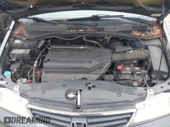 ✅ 2004 Honda Odyssey EX-L • VIN: 5FNRL18074B053021 • Lot: 43810954. Listed on IAAI with 172,771 mi. Free auction sales archive from the USA and detailed vehicle history report at DreamBid. Image 10.