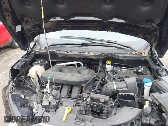 ✅ 2021 Ford EcoSport SE • VIN: MAJ6S3GL2MC416907 • Lot: 41814690. Listed on IAAI with 46,429 mi. Free auction sales archive from the USA and detailed vehicle history report at DreamBid. Image 10.