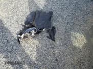 ✅ 2025 Lexus ES 350 Ultra Luxury • VIN: 58AFZ1B15SU191894 • Lot: 81219155. Wystawiony na Copart z przebiegiem 8 342 mil. Bezpłatny archiwum sprzedaży aukcyjnych z USA i szczegółowy raport historii pojazdu na DreamBid. Zdjęcie 12.