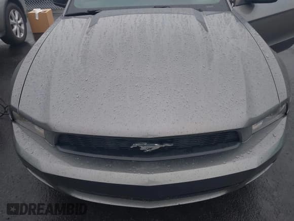 ✅ 2012 Ford Mustang Premium • VIN: 1ZVBP8AM6C5260086 • Lot: 42361831. Listed on IAAI with 262,561 mi. Free auction sales archive from the USA and detailed vehicle history report at DreamBid. Image 6.