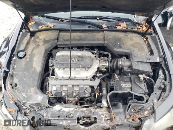 ✅ 2013 Acura TL Advance • VIN: 19UUA8F7XDA001904 • Лот: 81916034. Опубликован ранее на Copart с пробегом 273 153 миль. Бесплатный доступ к архиву аукционных продаж из США и подробный отчёт об истории автомобиля на DreamBid. Изображение 11.