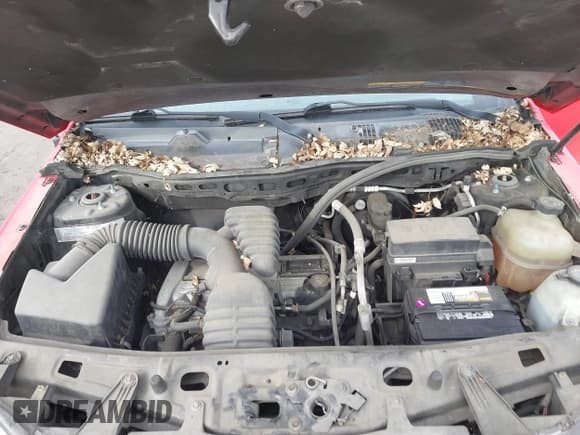 ✅ 2006 Saturn VUE • VIN: 5GZCZ33D56S800565 • Lot: 41717849. Wystawiony na IAAI z przebiegiem 177 820 mil. Bezpłatny archiwum sprzedaży aukcyjnych z USA i szczegółowy raport historii pojazdu na DreamBid. Zdjęcie 10.