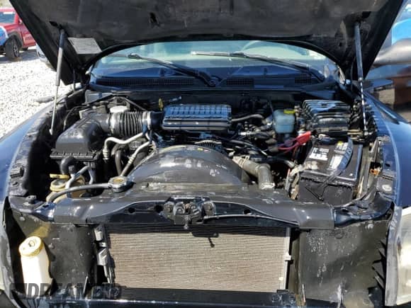 2005 Dodge Dakota ST with VIN 1D7HW28K55S259104, listed as a Copart auction lot 55859185 with 143,004 mi miles and Salvage title. Bid and sale history available at DreamBid. Image 11.