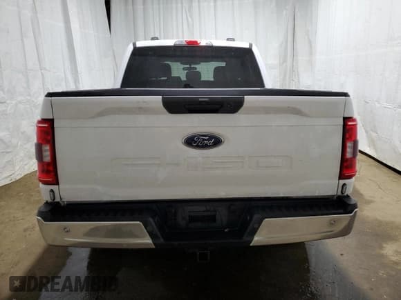 ✅ 2023 Ford F-150 XL • VIN: 1FTEW1EB0PKD31860 • Lot: 79384974. Wystawiony na Copart z przebiegiem 31 595 mil. Bezpłatny archiwum sprzedaży aukcyjnych z USA i szczegółowy raport historii pojazdu na DreamBid. Zdjęcie 6.