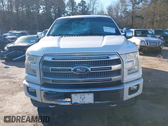 ✅ 2017 Ford F-150 XL • VIN: 1FTEW1EF5HFA07428 • Lot: 41334443. Listed on IAAI with 178,545 mi. Free auction sales archive from the USA and detailed vehicle history report at DreamBid. Image 12.