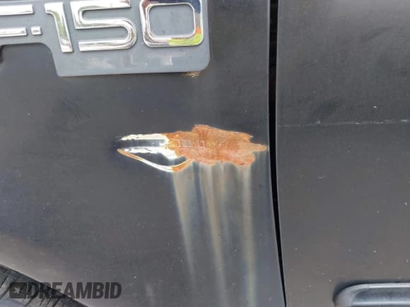 ✅ 2002 Ford F-150 XL • VIN: 1FTRX17232KA57767 • Lot: 43174389. Wystawiony na IAAI z przebiegiem 166 273 mil. Bezpłatny archiwum sprzedaży aukcyjnych z USA i szczegółowy raport historii pojazdu na DreamBid. Zdjęcie 12.