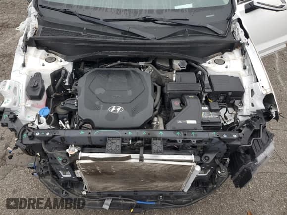 ✅ 2021 Hyundai Palisade Limited • VIN: KM8R5DHE4MU242865 • Лот: 71324064. Опубликован ранее на Copart с пробегом 44 073 миль. Бесплатный доступ к архиву аукционных продаж из США и подробный отчёт об истории автомобиля на DreamBid. Изображение 11.