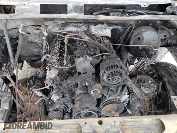 ✅ 2008 Chevrolet Silverado 1500 Work Truck • VIN: 1GCEC19C58Z227207 • Lot: 45215675. Listed on Copart with Not provided. Free auction sales archive from the USA and detailed vehicle history report at DreamBid. Image 11.