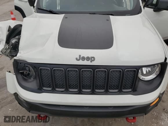 ✅ 2021 Jeep Renegade Trailhawk • VIN: ZACNJDC19MPM30234 • Lot: 66167334. Listed on Copart with 46,075 mi. Free auction sales archive from the USA and detailed vehicle history report at DreamBid. Image 12.