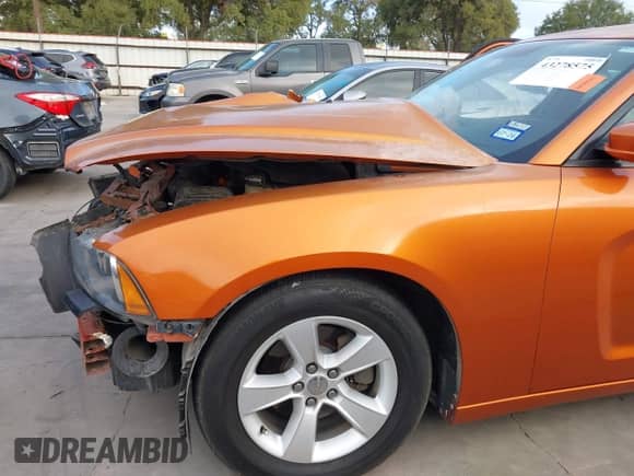 2011 Dodge Charger SE с VIN 2B3CL3CG9BH581934, выставлен на аукционе IAAI как лот 43278575 с пробегом 140 161 миль миль и . История ставок и продаж доступна на DreamBid. Изображение 18.