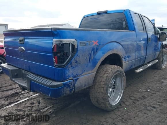 ✅ 2010 Ford F-150 XL • VIN: 1FTEX1E84AFC69901 • Лот: 41668808. Опубликован ранее на IAAI с пробегом 178 000 миль. Бесплатный доступ к архиву аукционных продаж из США и подробный отчёт об истории автомобиля на DreamBid. Изображение 4.