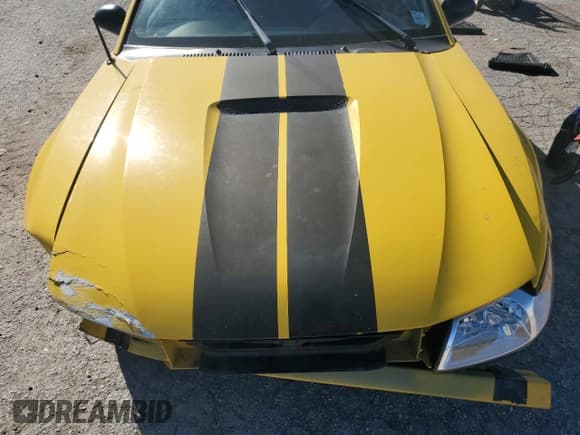 ✅ 1999 Ford Mustang GT • VIN: 1FAFP42X9XF177280 • Lot: 89538015. Listed on Copart with Not provided. Free auction sales archive from the USA and detailed vehicle history report at DreamBid. Image 11.
