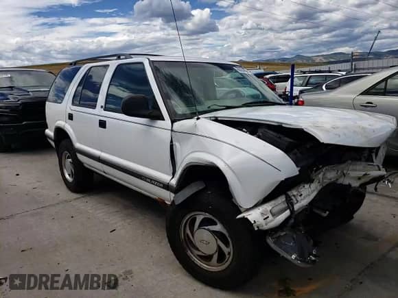 1996 Chevrolet Blazer z VIN 1GNDT13W4T2295876, wystawiony jako Copart lot #68904304 z przebiegiem 155 579 mil mil oraz Szkoda całkowita • Salvage title. Historia ofert i sprzedaży dostępna na DreamBid. Obrazek 12.