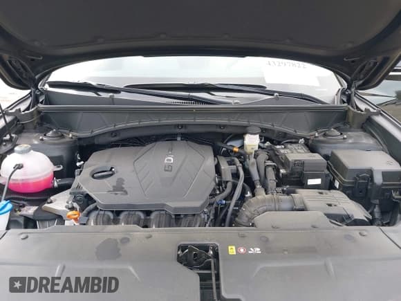 ✅ 2025 Hyundai Tucson SEL Convenience • VIN: 3KMJCCDE3SE017563 • Lot: 43297822. Wystawiony na IAAI z przebiegiem 10 019 mil. Bezpłatny archiwum sprzedaży aukcyjnych z USA i szczegółowy raport historii pojazdu na DreamBid. Zdjęcie 10.