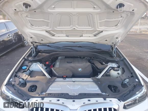 ✅ 2023 BMW X3 sDrive30i • VIN: 5UX43DP03P9R75120 • Lot: 43692847. Wystawiony na IAAI z przebiegiem 48 425 mil. Bezpłatny archiwum sprzedaży aukcyjnych z USA i szczegółowy raport historii pojazdu na DreamBid. Zdjęcie 10.