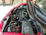 ✅ 2005 Volkswagen Beetle GLS • VIN: 3VWCR31C75M407568 • Lot: 42532558. Listed on IAAI with 122,426 mi. Free auction sales archive from the USA and detailed vehicle history report at DreamBid. Image 12.