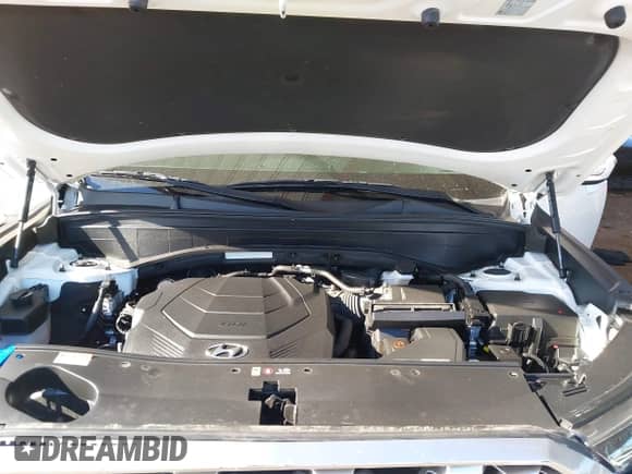 2022 Hyundai Palisade SEL с VIN KM8R44HE7NU452607, выставлен на аукционе IAAI как лот 41506817 с пробегом 25 827 миль миль и . История ставок и продаж доступна на DreamBid. Изображение 10.