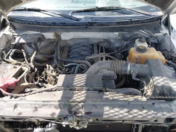 ✅ 2012 Ford F-150 XL • VIN: 1FTFX1EF4CFB50705 • Lot: 42739990. Wystawiony na IAAI z przebiegiem 258 704 mil. Bezpłatny archiwum sprzedaży aukcyjnych z USA i szczegółowy raport historii pojazdu na DreamBid. Zdjęcie 10.