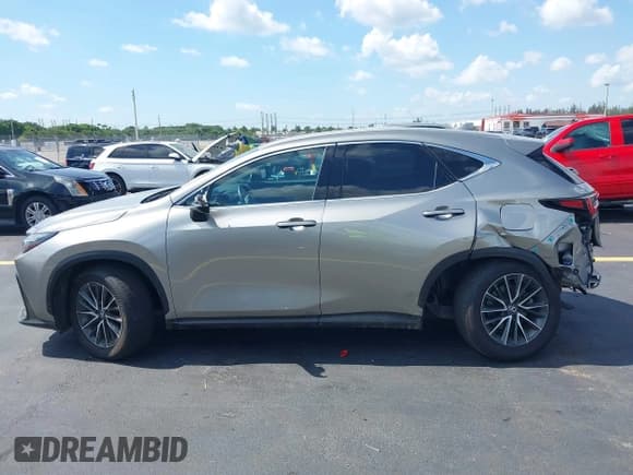 ✅ 2024 Lexus NX 250 • VIN: 2T2ADCAZ3RC009989 • Лот: 42331593. Опубликован ранее на IAAI с пробегом 14 240 миль. Бесплатный доступ к архиву аукционных продаж из США и подробный отчёт об истории автомобиля на DreamBid. Изображение 15.
