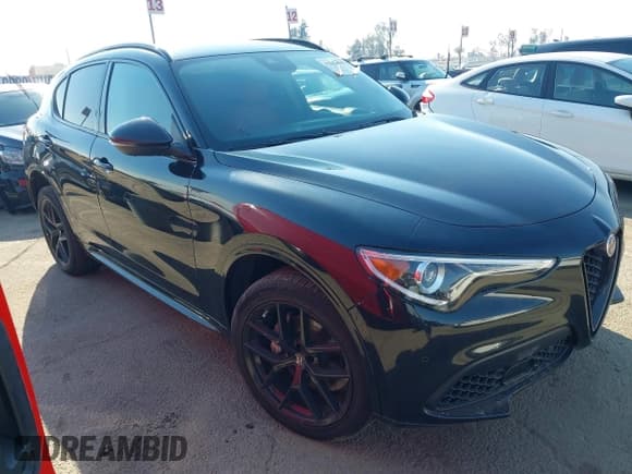 ✅ 2021 Alfa Romeo Stelvio • VIN: ZASPAJAN4M7D17862 • Лот: 41241833. Опубликован ранее на IAAI с пробегом 63 751 миль. Бесплатный доступ к архиву аукционных продаж из США и подробный отчёт об истории автомобиля на DreamBid. Изображение 1.