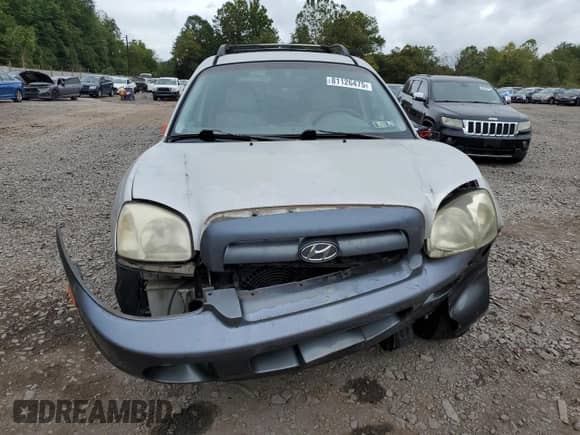 2005 Hyundai Santa Fe GLS with VIN KM8SC13E45U894450, listed as a Copart auction lot 81126475 with 117,824 mi miles and Salvage title. Bid and sale history available at DreamBid. Image 5.